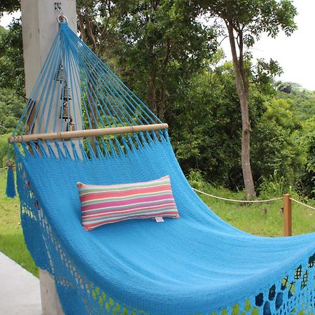 The Serene House Bed & Breakfast Luquillo Dış mekan fotoğraf