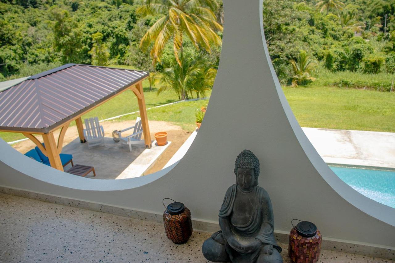 The Serene House Bed & Breakfast Luquillo Dış mekan fotoğraf