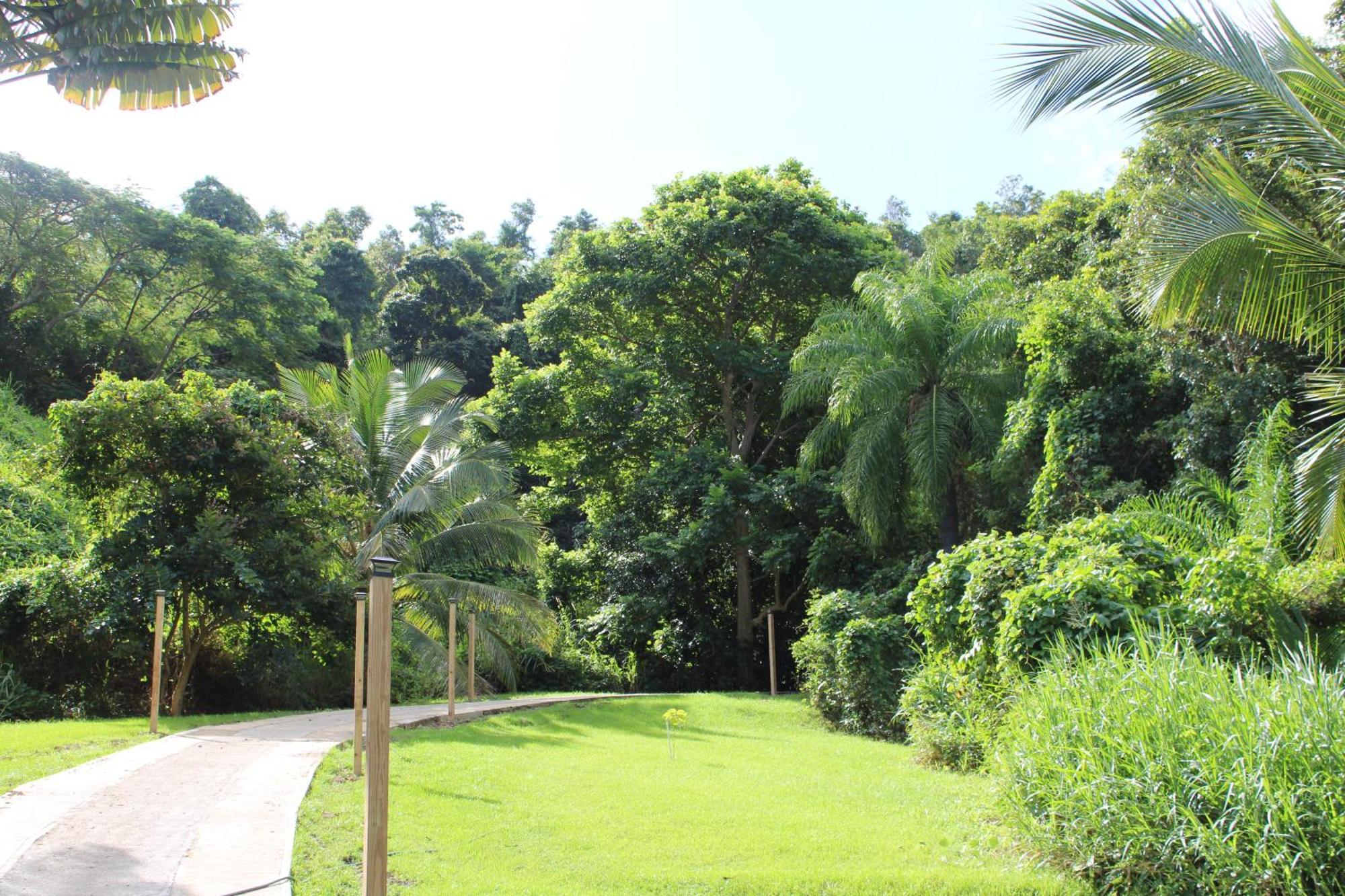The Serene House Bed & Breakfast Luquillo Dış mekan fotoğraf