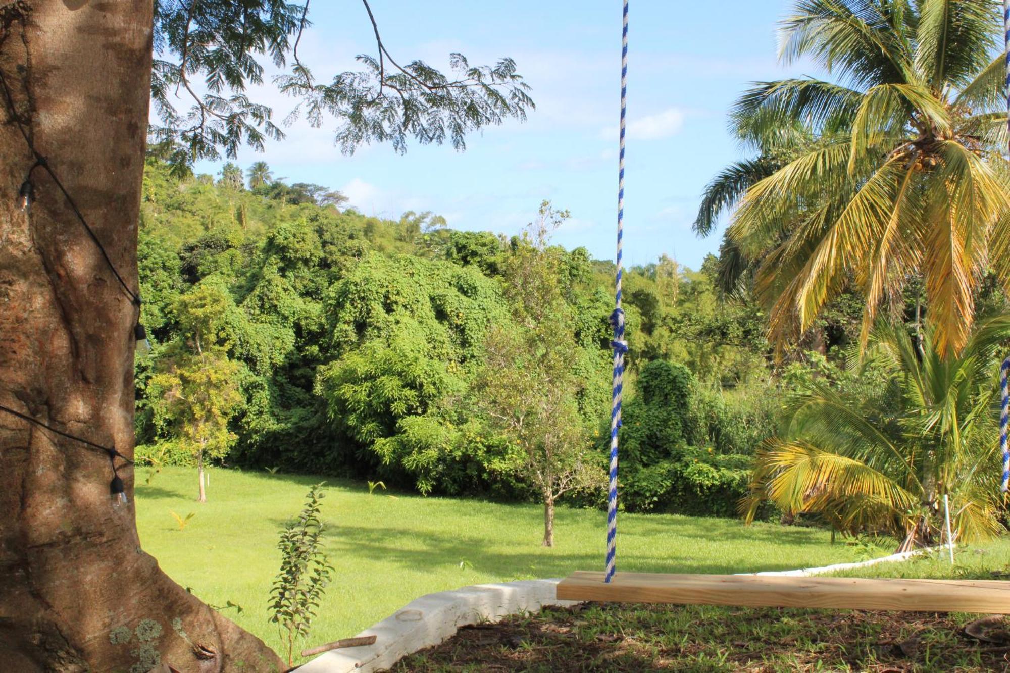 The Serene House Bed & Breakfast Luquillo Dış mekan fotoğraf