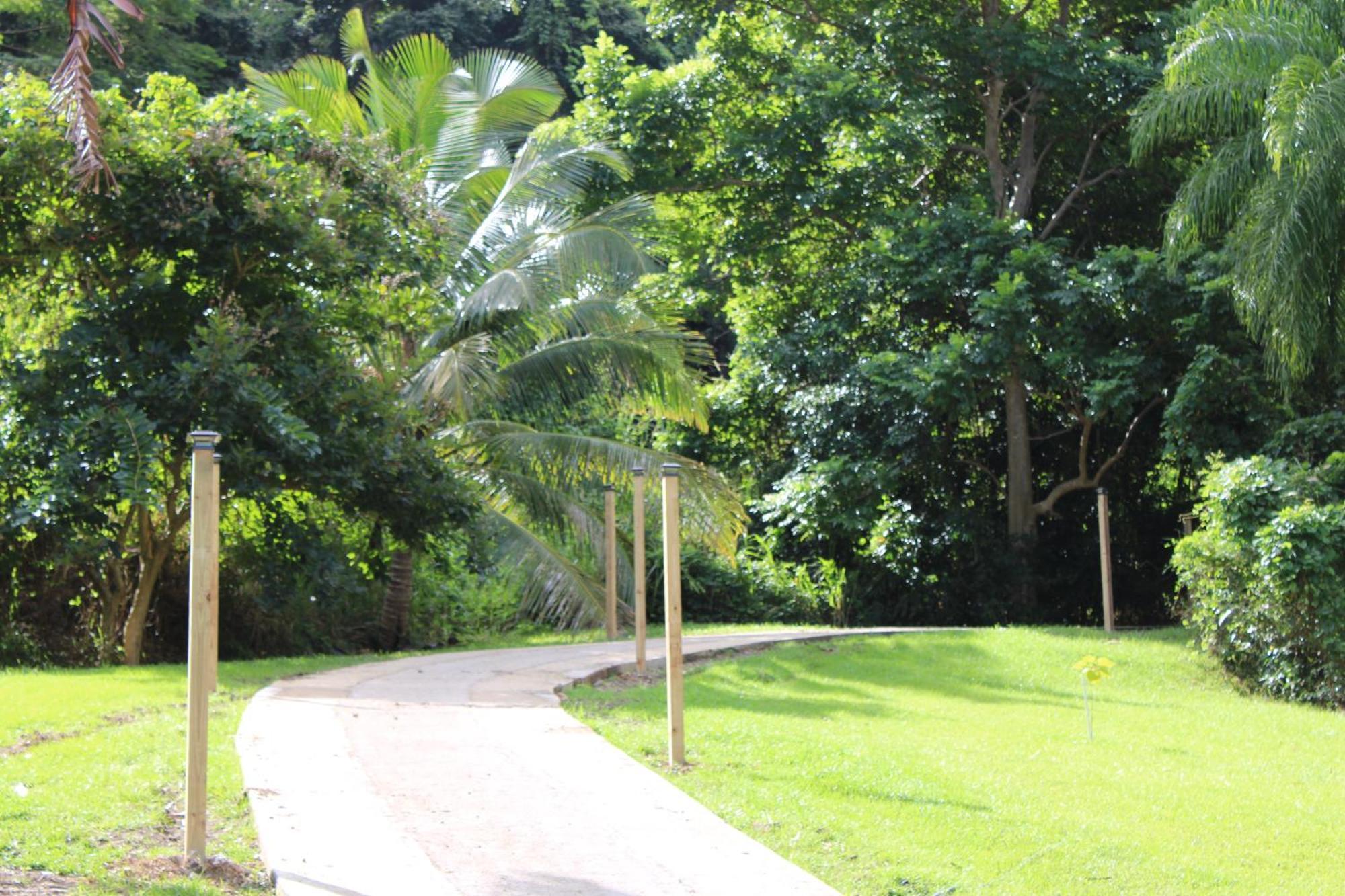 The Serene House Bed & Breakfast Luquillo Dış mekan fotoğraf