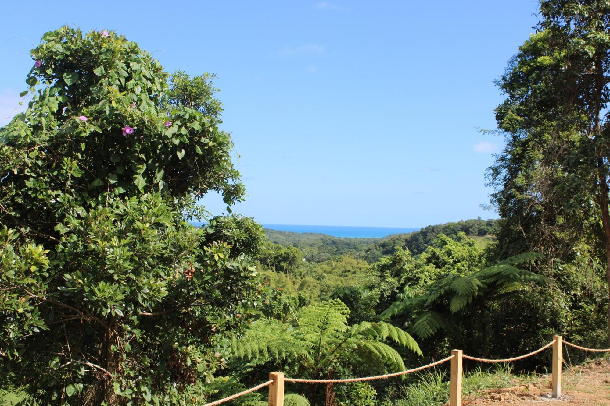 The Serene House Bed & Breakfast Luquillo Dış mekan fotoğraf