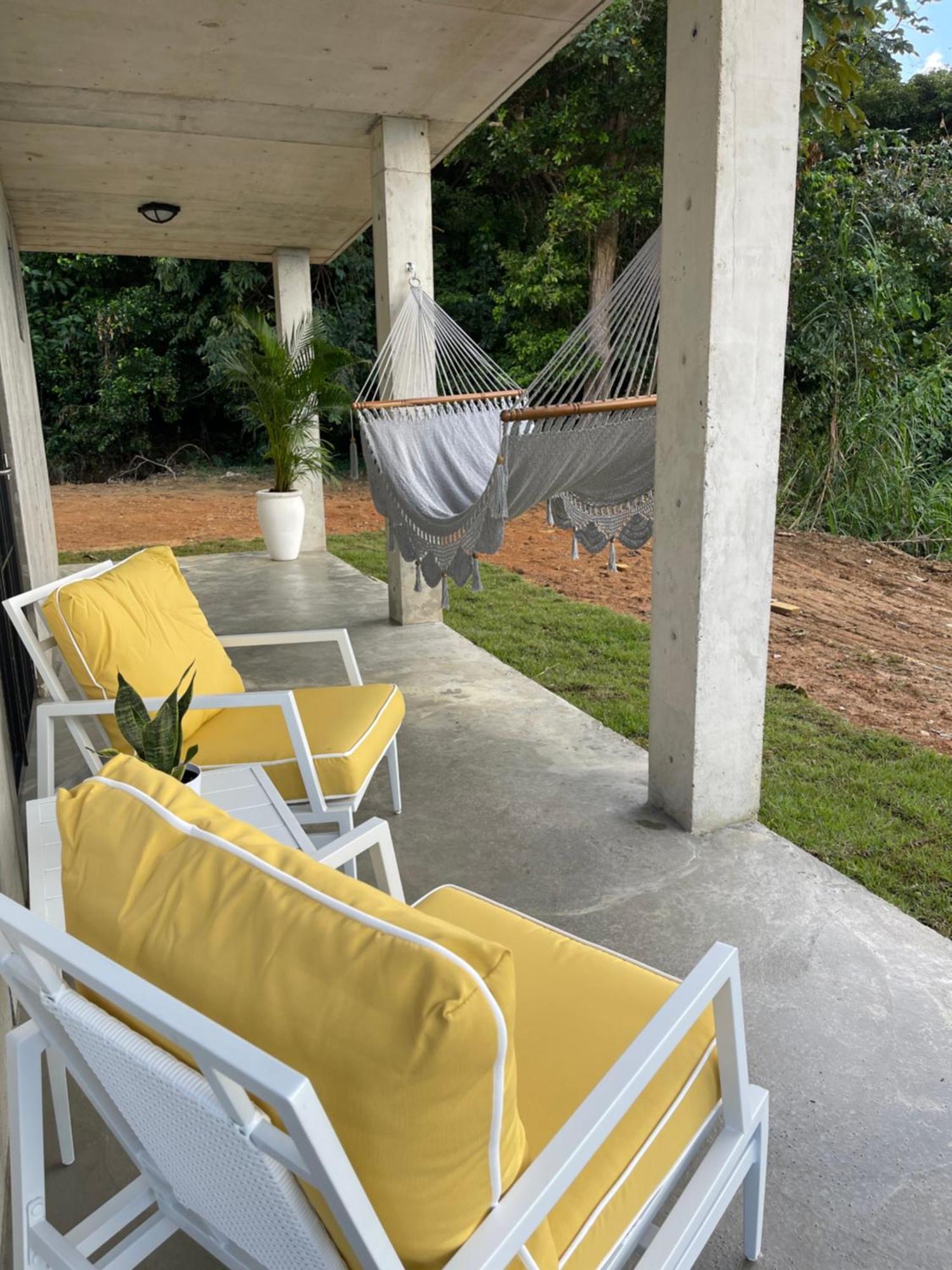 The Serene House Bed & Breakfast Luquillo Dış mekan fotoğraf