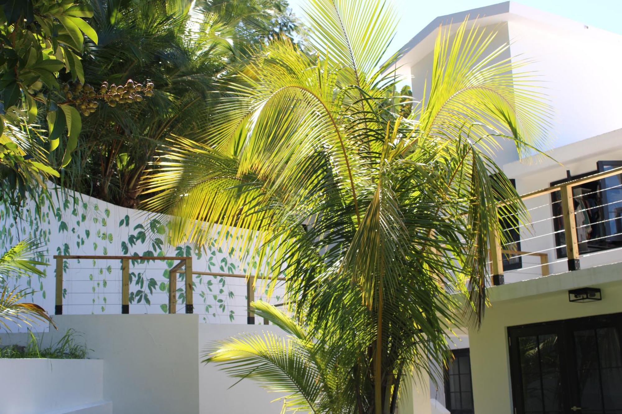 The Serene House Bed & Breakfast Luquillo Dış mekan fotoğraf